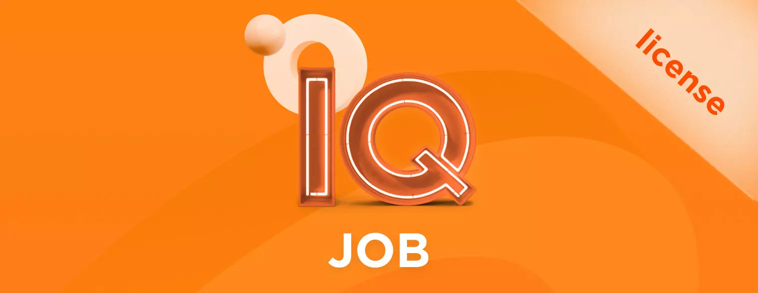 IQ JOB
